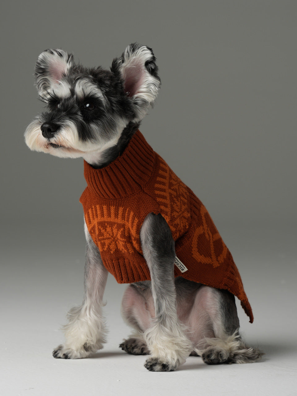 Pretzel Pet Sweater in Toffee Orange