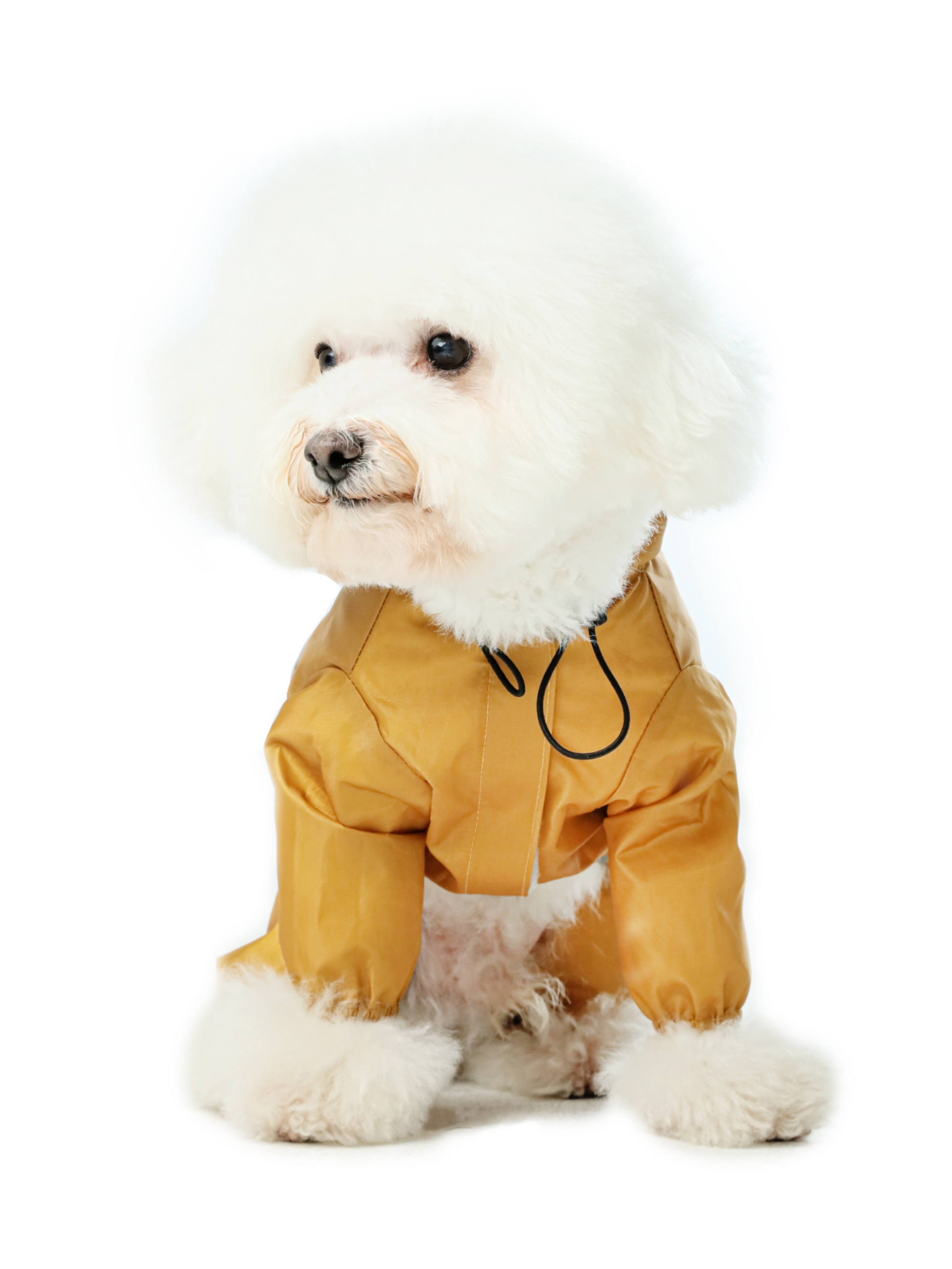 Ultralight Full Covered Hooded Waterproof Dog Jacket in Yellow