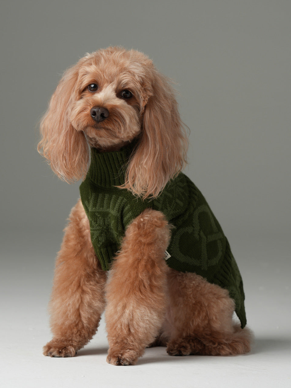 Olive Green Pretzel Pet Sweater
