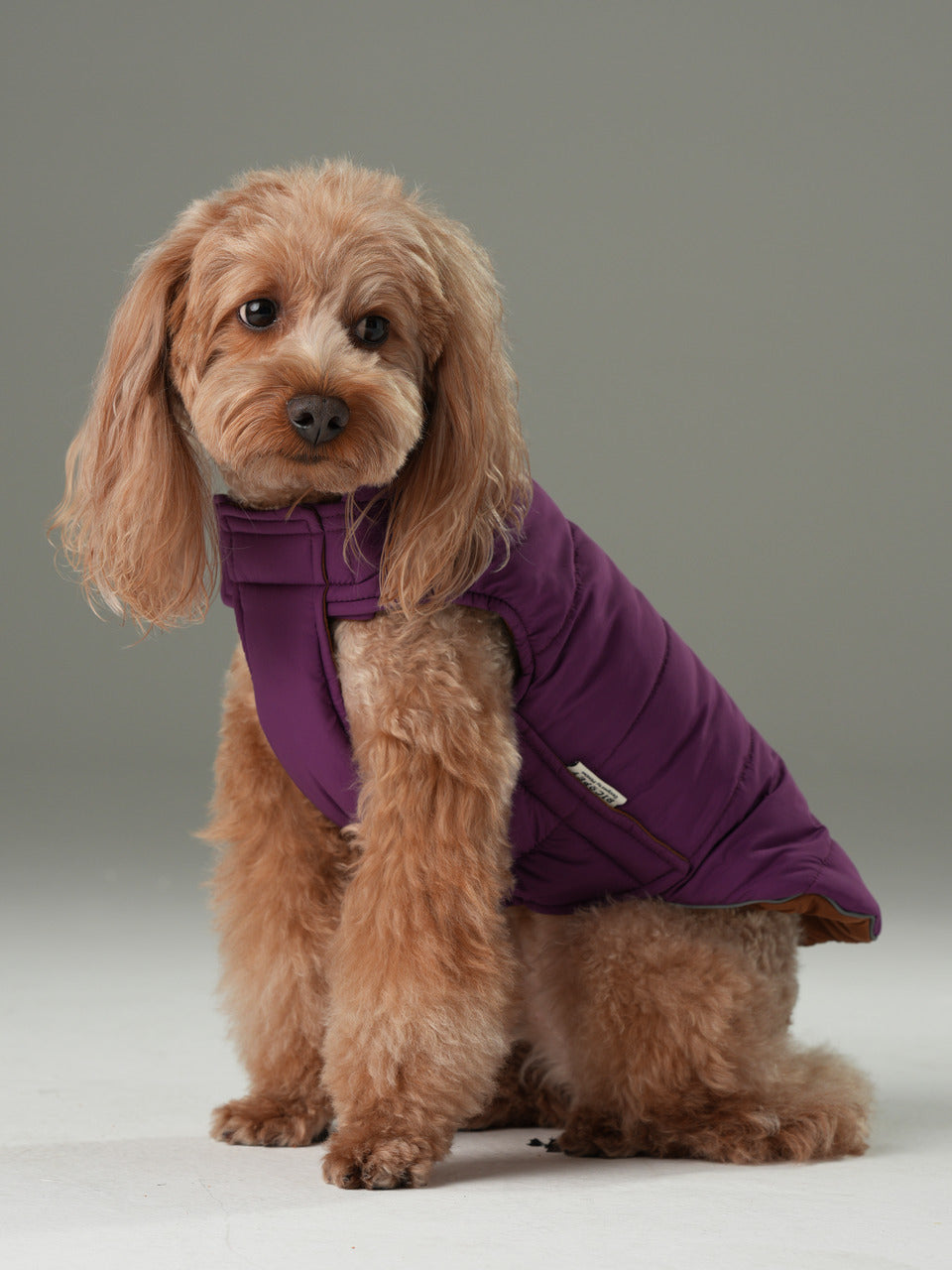 Reversible Dog Vest Jacket in Purple Caramel