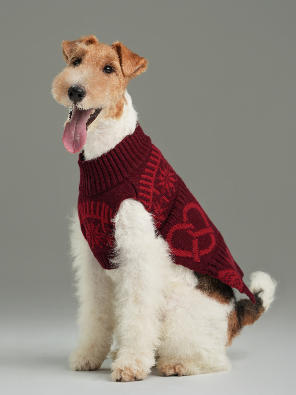Pretzel Pet Sweater in Burgundy Red