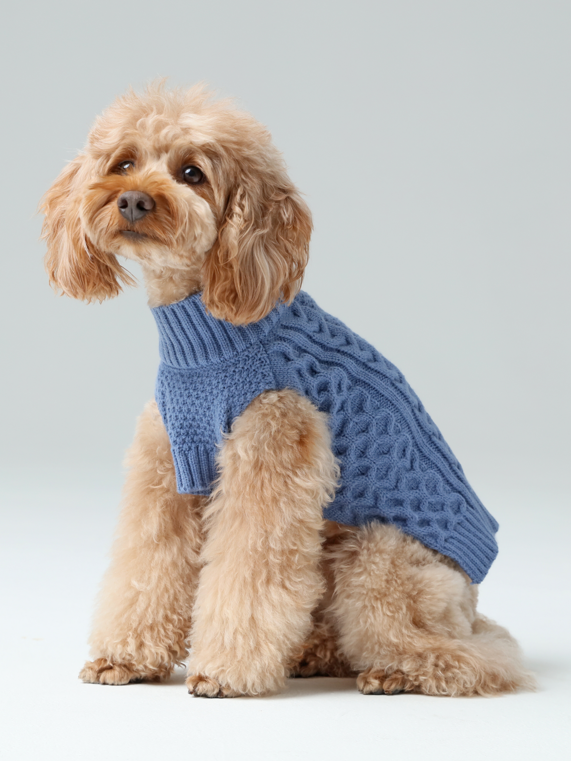 Ice Blue Pet Sweater Vest