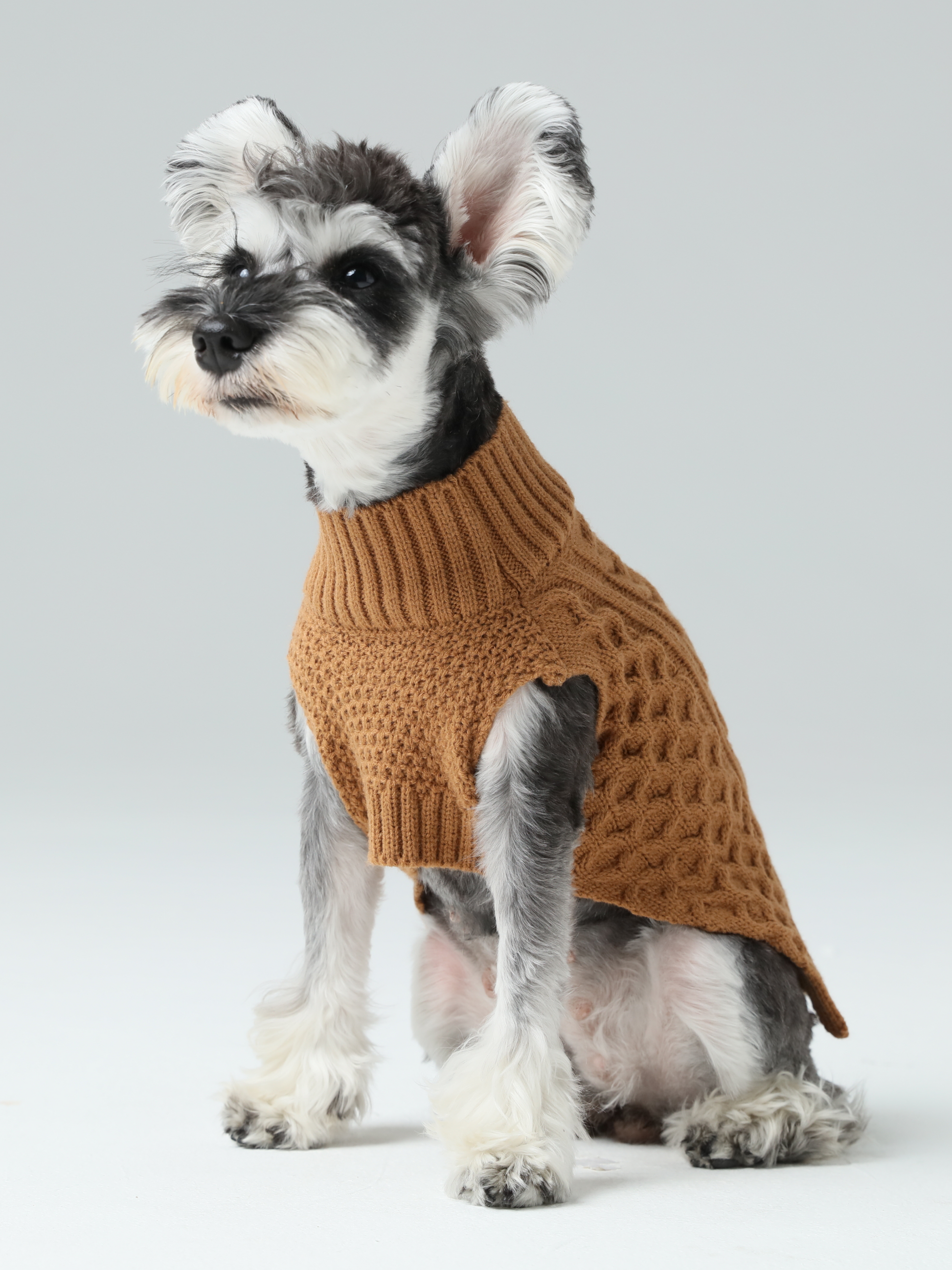 Pet Sweater Vest in Toffee Orange