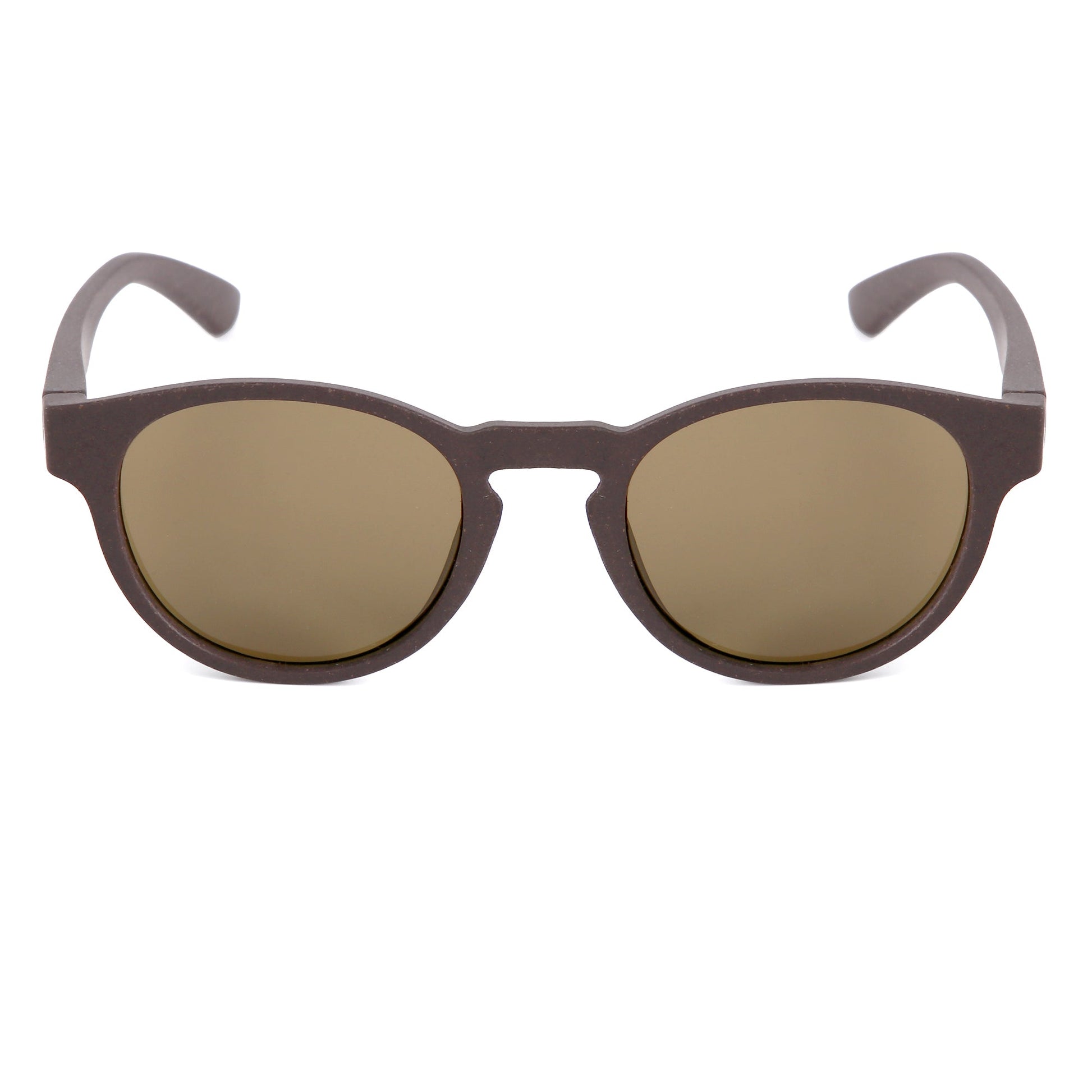 Cradle Sunglasses in Coffee