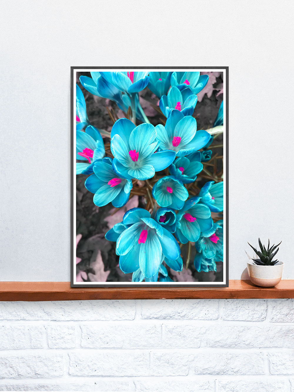 Crocus Blue Flower Art Print