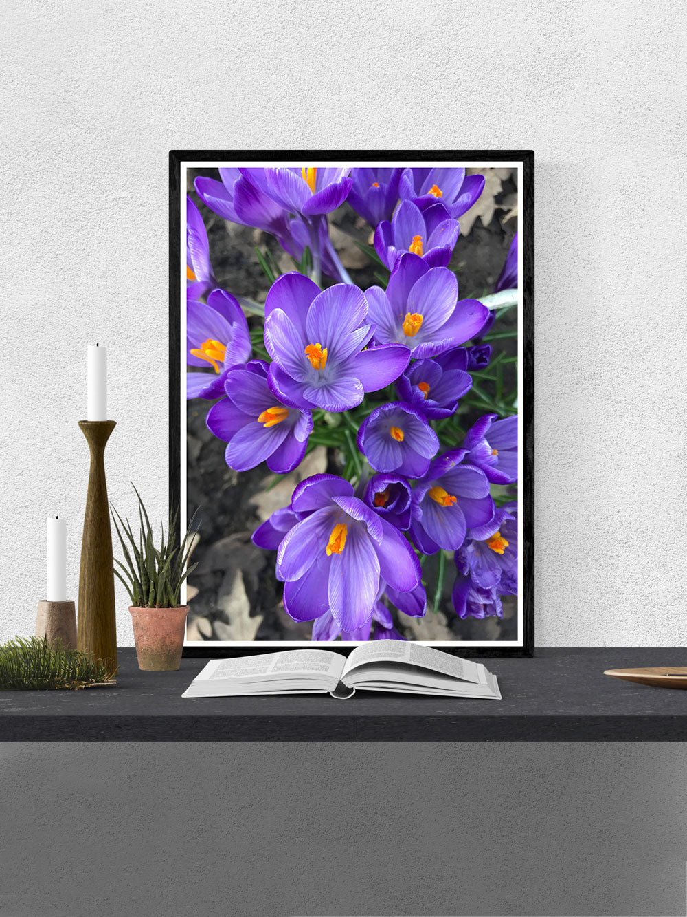 Crocus Purple Flower Art Print