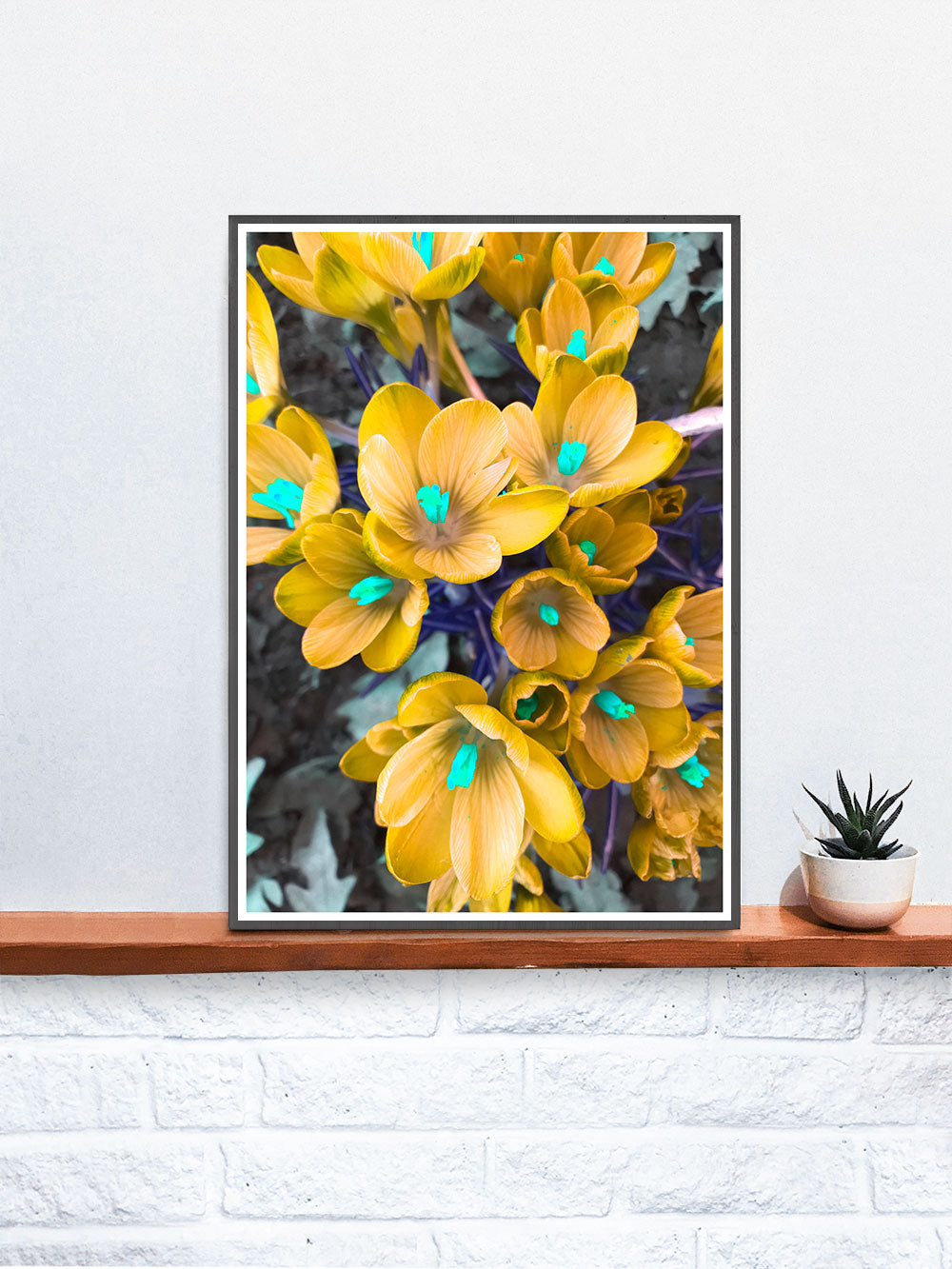 Crocus Yellow Flower Art Print