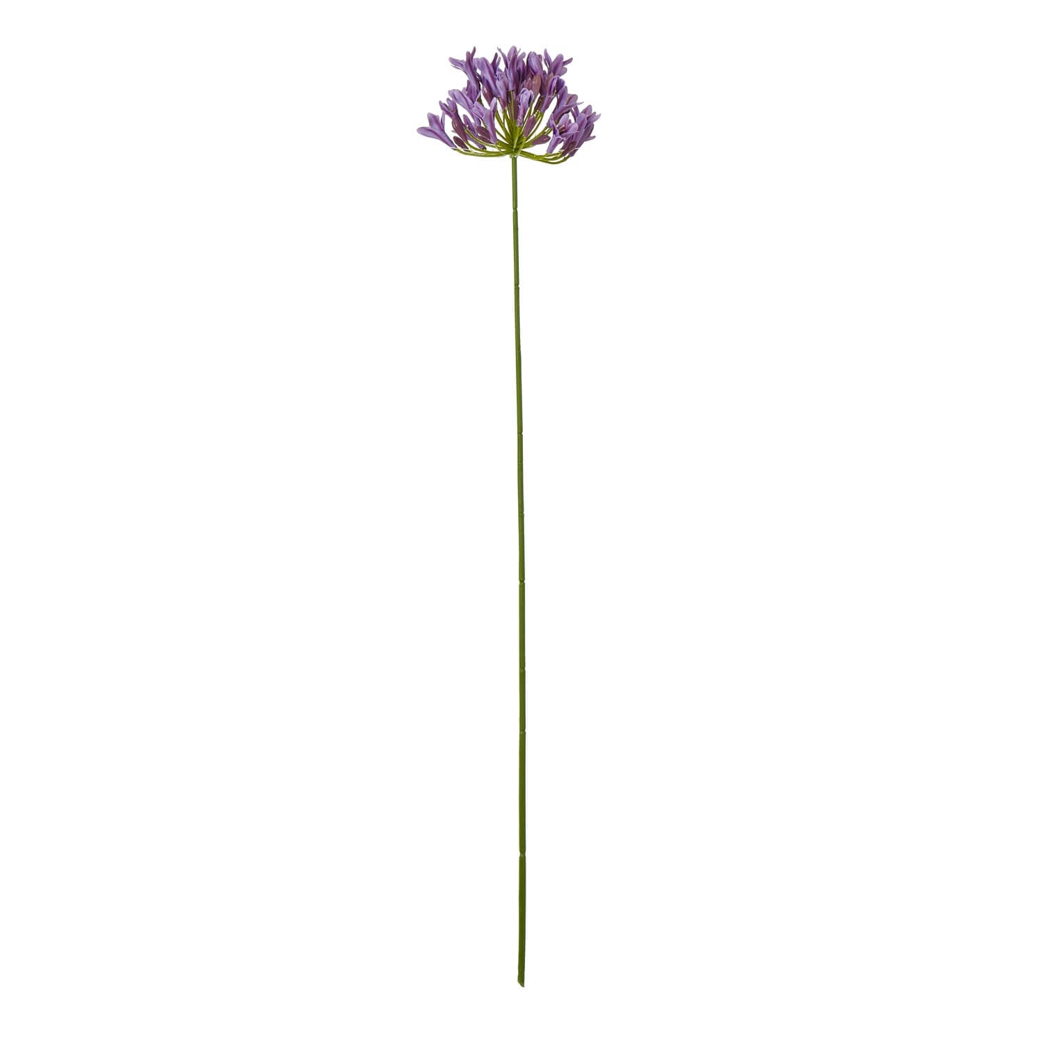 Lifelike lilac agapanthus spray with green stem, faux floral decor for vases or arrangements, 75cm tall. by Sostter at brixbailey.com