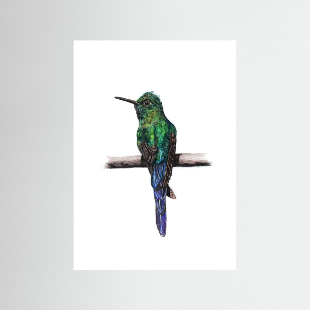 Hummingbird Art Print Wildlife Wall Art for Nature Lovers