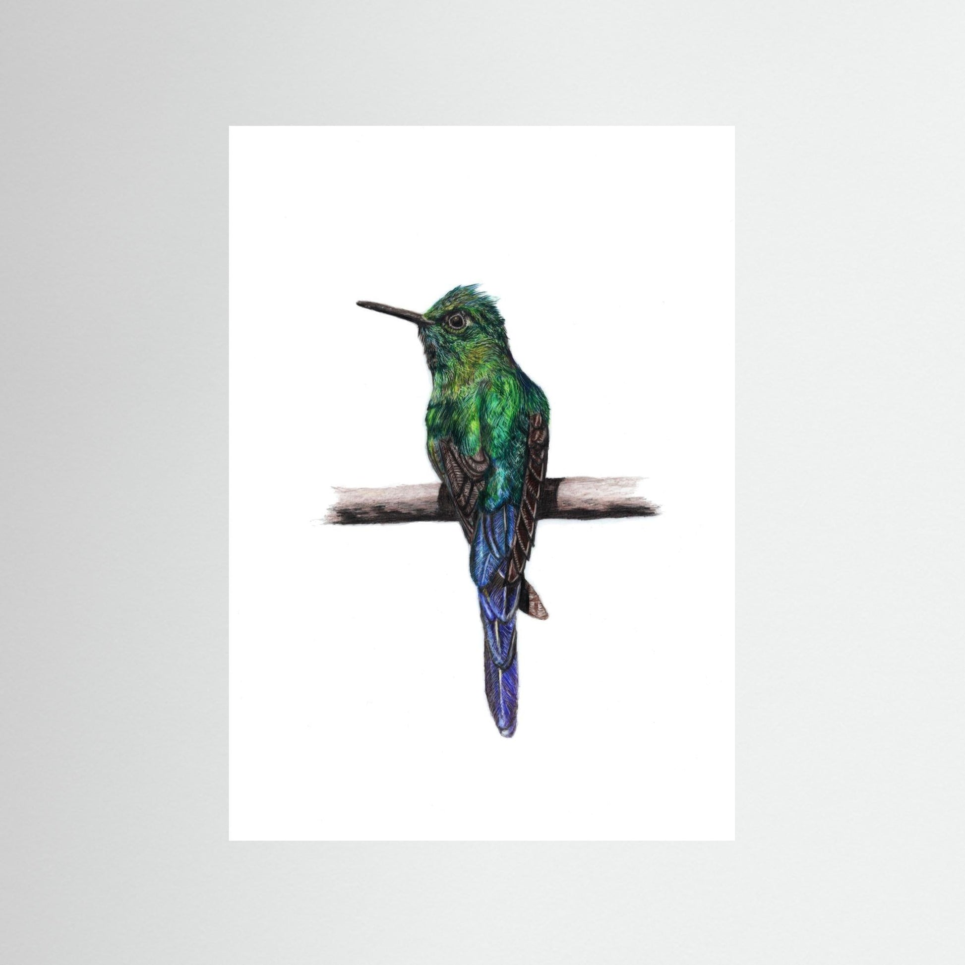 Hummingbird Art Print Wildlife Wall Art for Nature Lovers