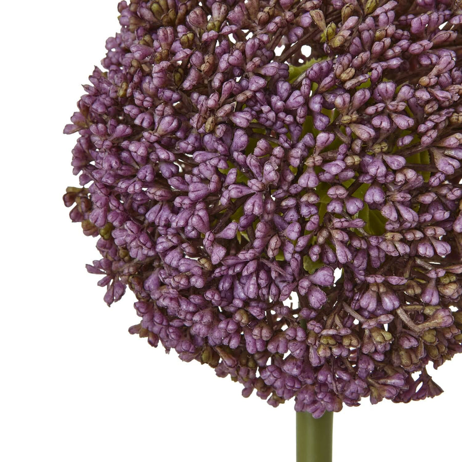 Cream Giant Allium Stem with soft purple spherical bloom, 75cm faux botanical decor for vases or tabletops by Sostter at brixbailey.com