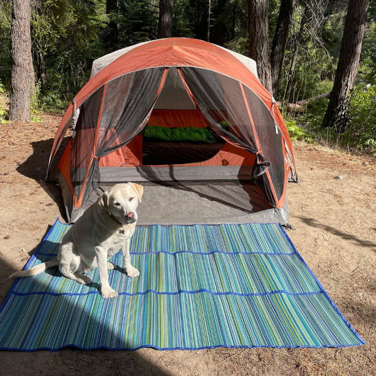 Party Mat 5 by 6 feet Mix Design