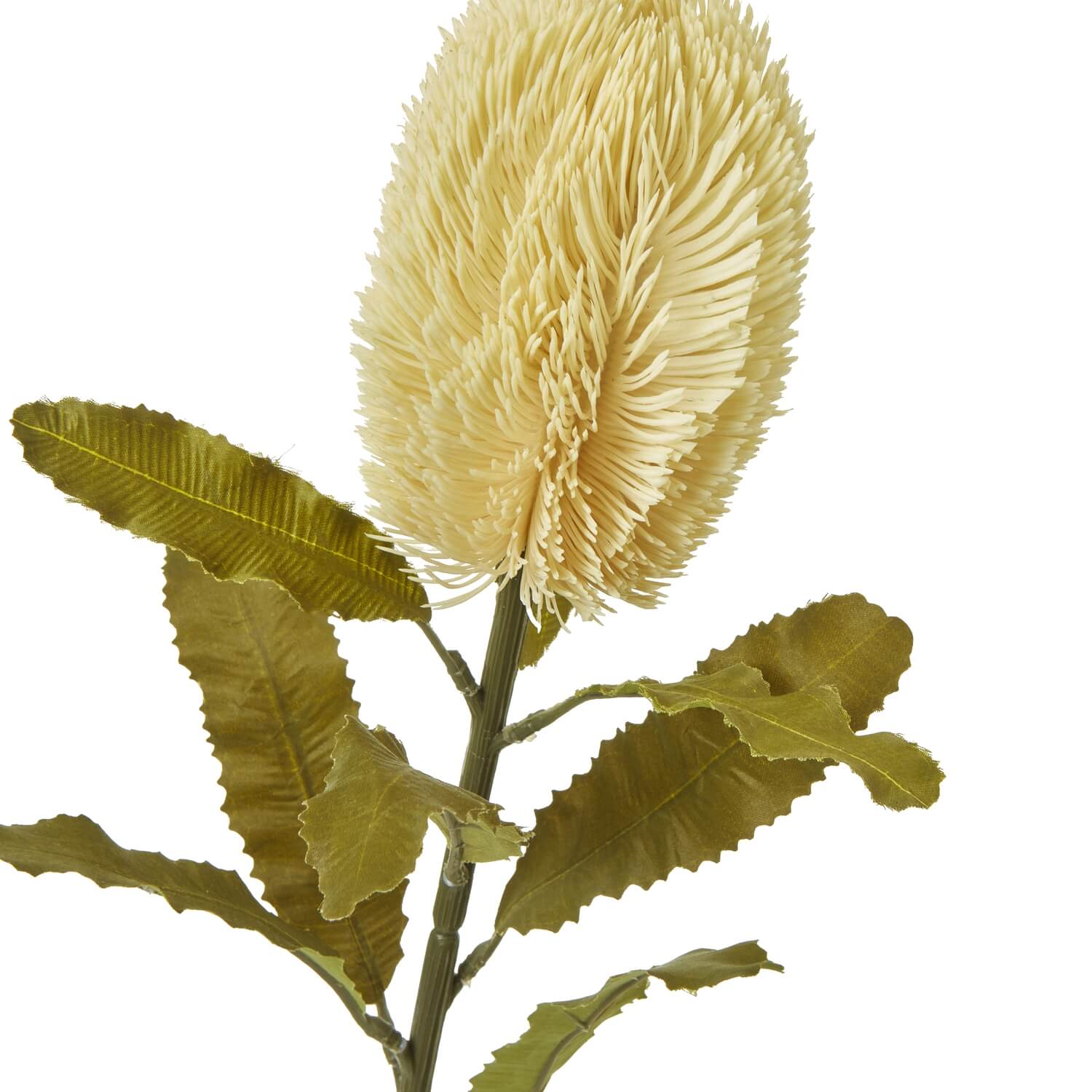Banksia serrata faux stem with feathery cream blooms and green accents, 65cm lifelike artificial floral decor by Sostter at brixbailey.com