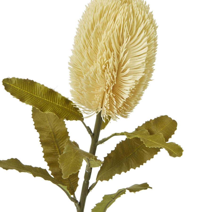 Banksia serrata faux stem with feathery cream blooms and green accents, 65cm lifelike artificial floral decor by Sostter at brixbailey.com
