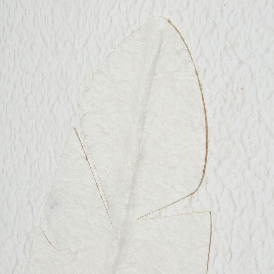 White feather artwork in beaded frame, minimalist modern wall decor for serene interiors  by Sostter at brixbailey.com