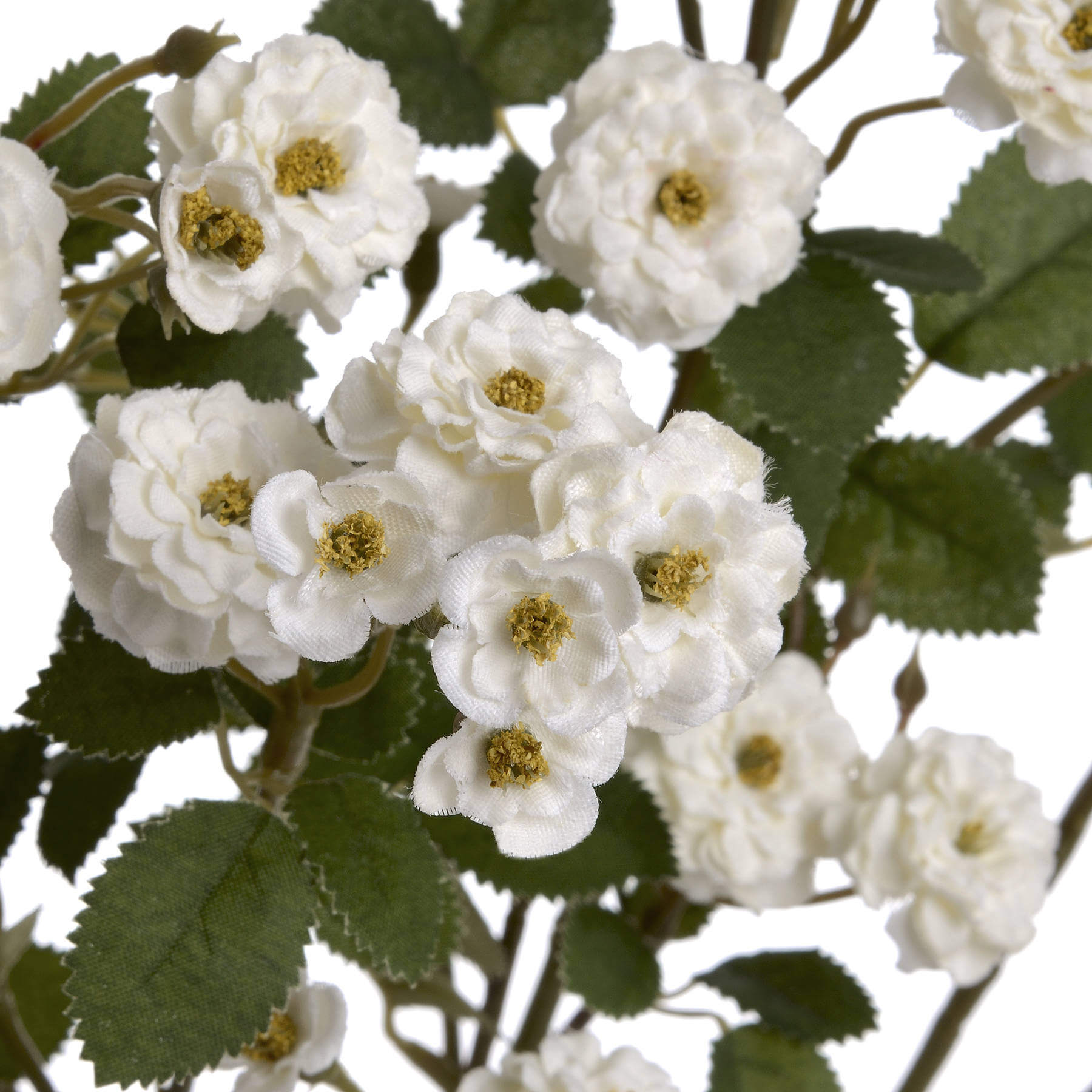 White wild meadow rose spray with lifelike plastic petals for elegant floral arrangements by Sostter at brixbailey.com
