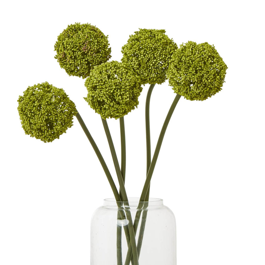 Green Allium faux floral stem with spherical bloom, natural green plastic, 75cm height for vase arrangements by Sostter at brixbailey.com