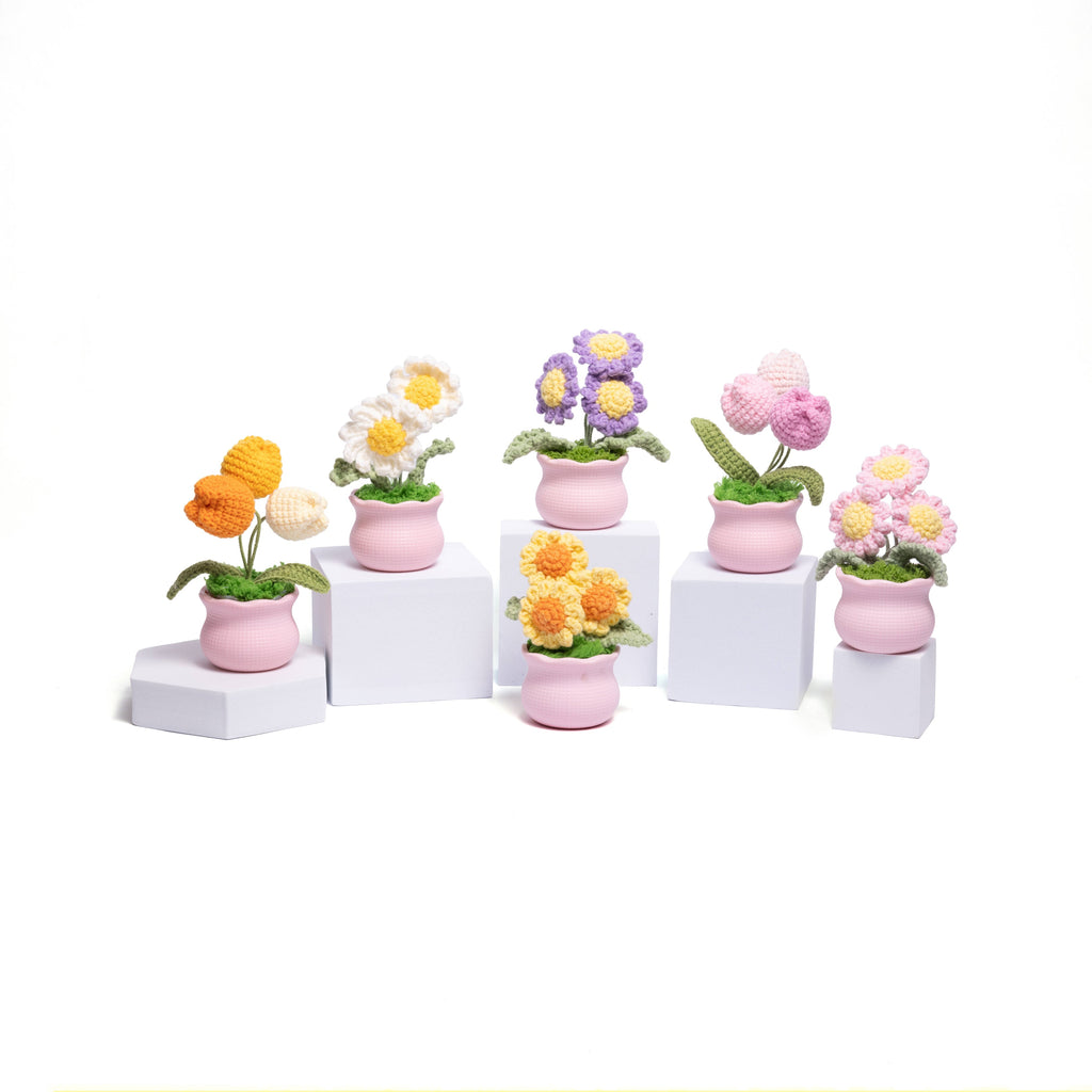 Blooming Joy: Whimsical Garden Pastel Pot Collection
