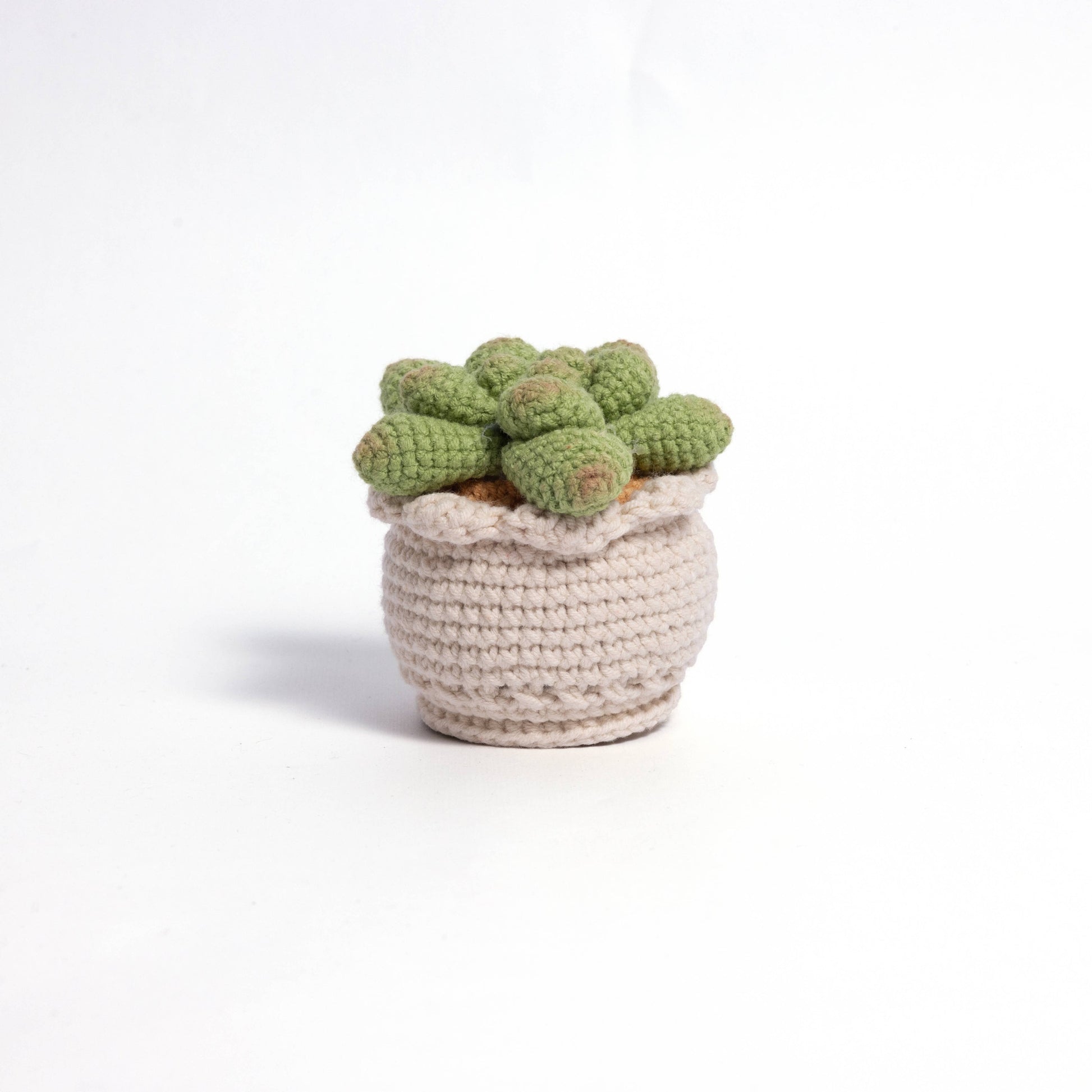 Soft Crochet Succulent Plants