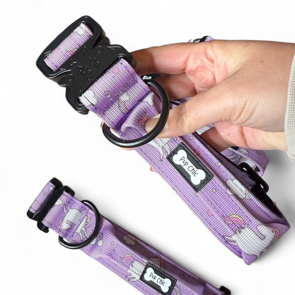 Daydreams and Unicorns Dog Collar