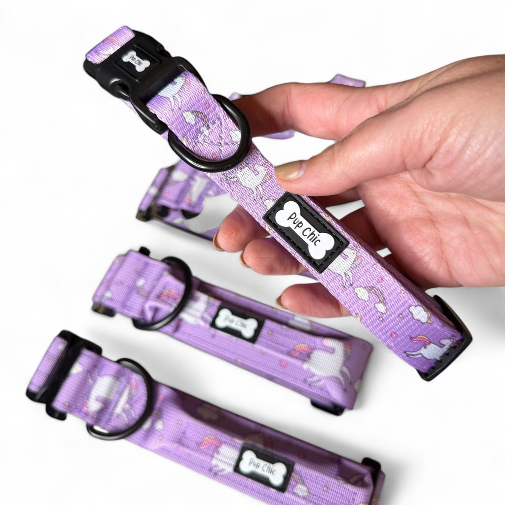 Daydreams and Unicorns Dog Collar