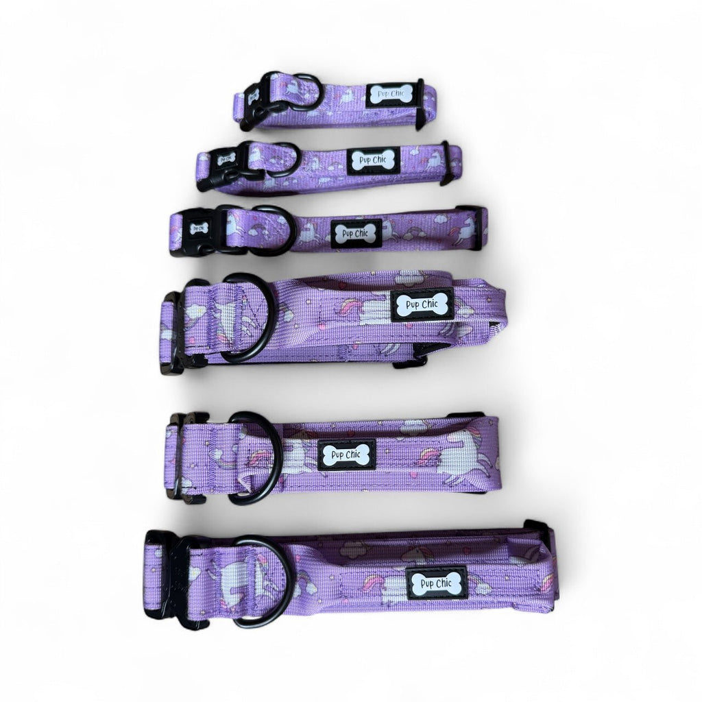 Daydreams and Unicorns Dog Collar