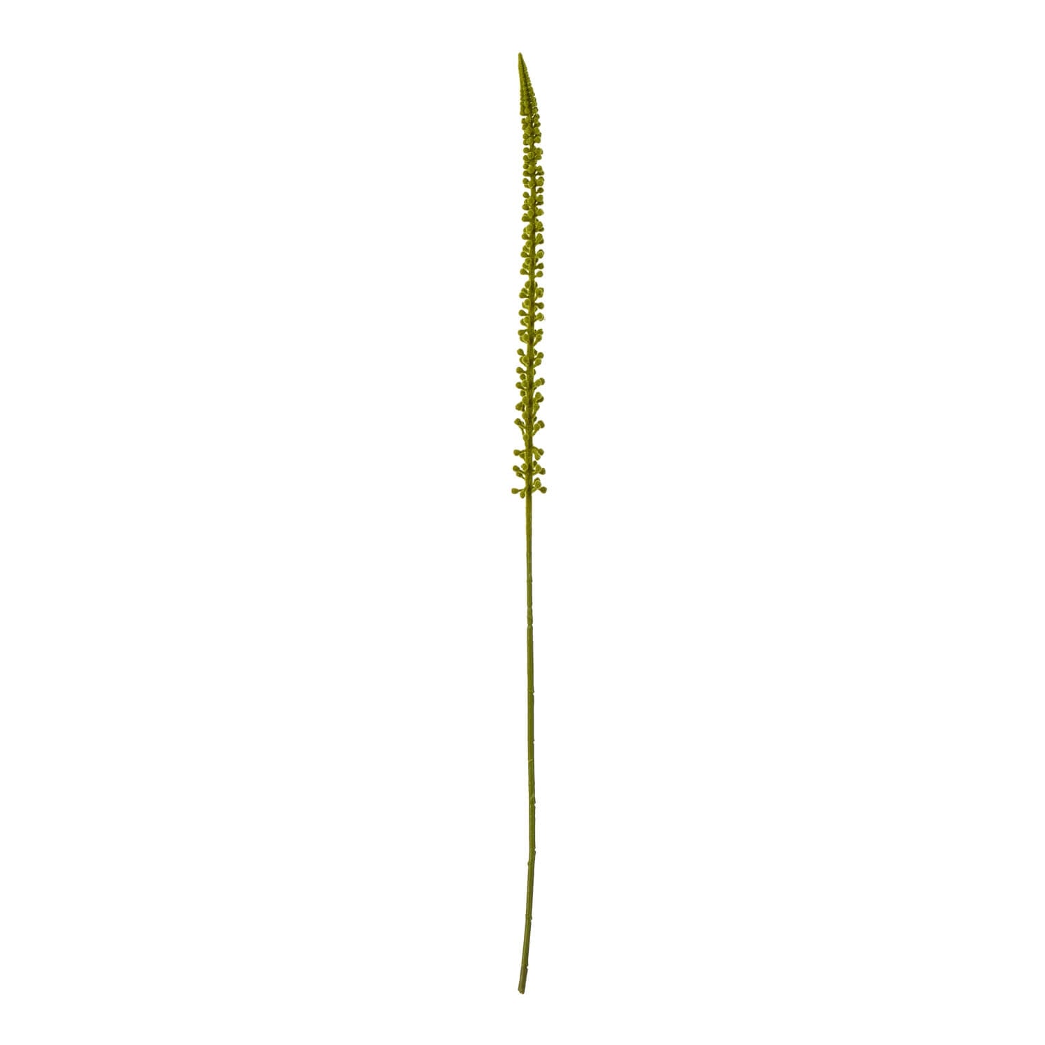 Eremurus faux floral stem in natural green, 88cm tall, for modern farmhouse or industrial chic decor by Sostter at brixbailey.com