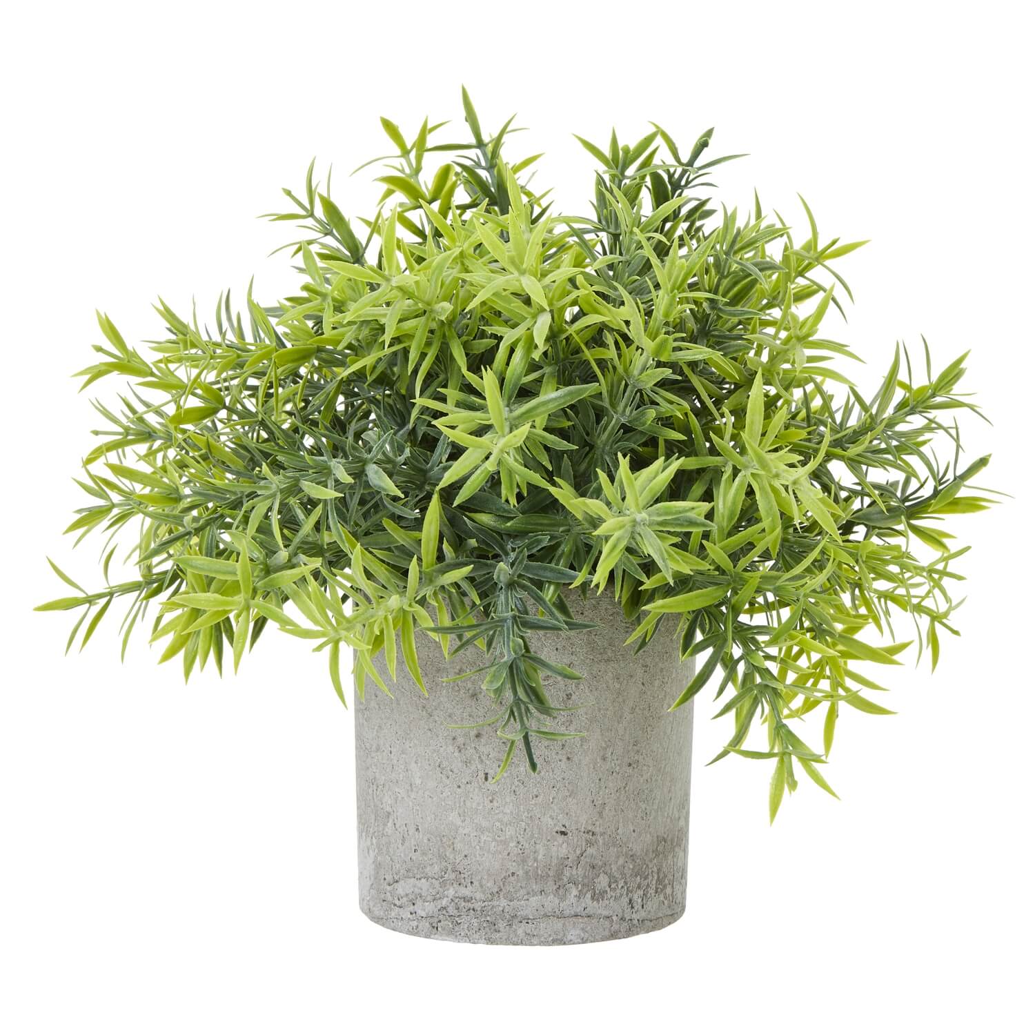 Lifelike small bamboo plant in grey concrete pot, vibrant green leaves, perfect for desks and modern decor (124 chars) by Sostter at brixbailey.com