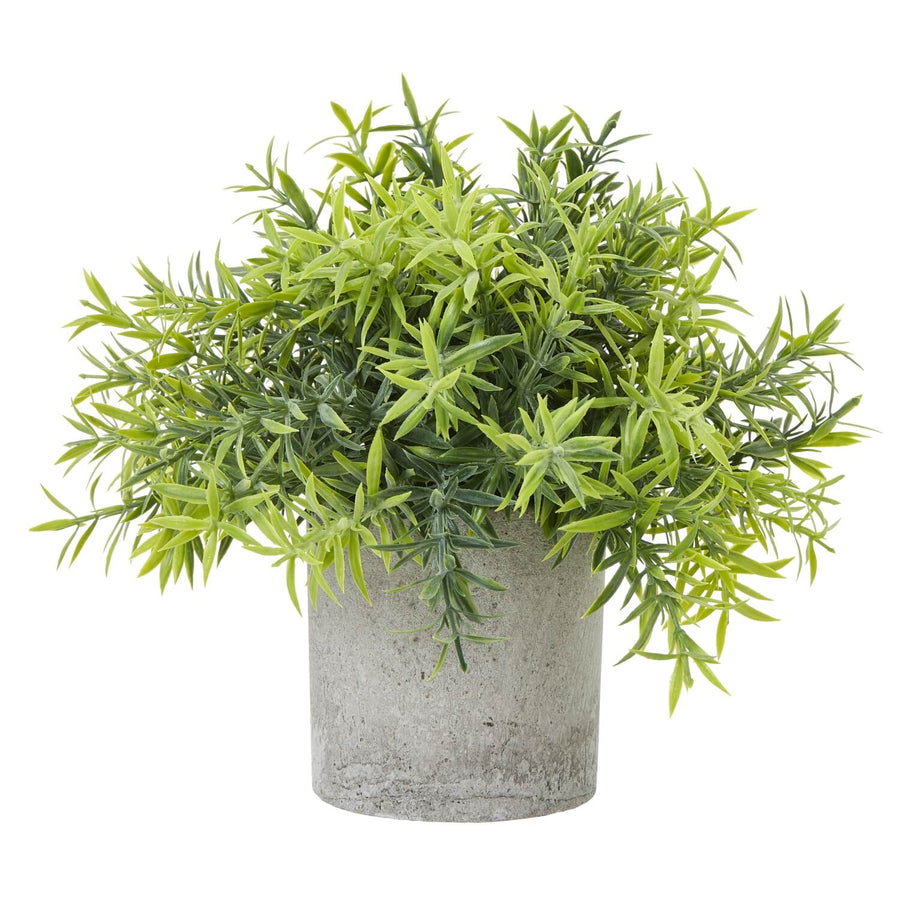 Lifelike small bamboo plant in grey concrete pot, vibrant green leaves, perfect for desks and modern decor (124 chars) by Sostter at brixbailey.com