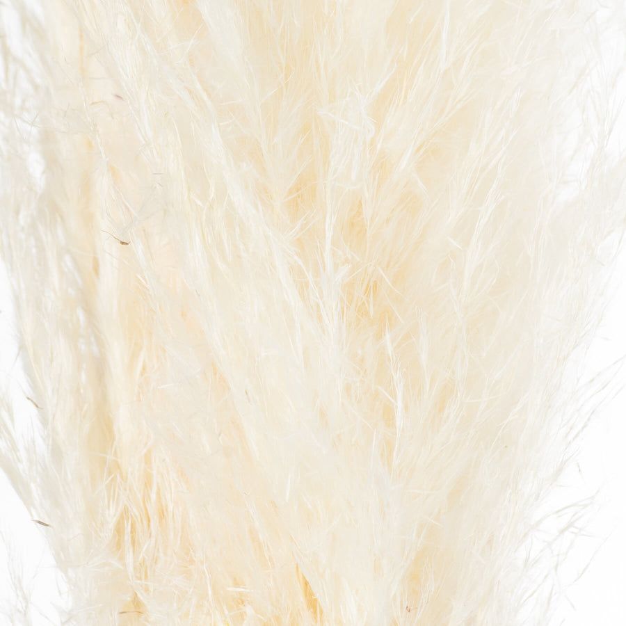 Soft cream dried floral stems with feathery plumes, 120 cm tall, for organic-modern home decor by Sostter at brixbailey.com