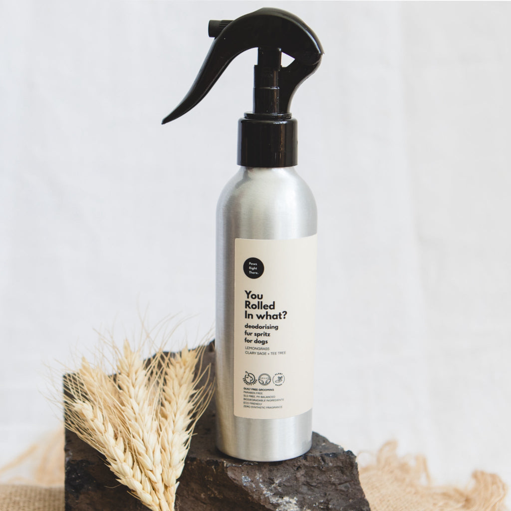 You Rolled in What Deodorising Fur Spritz