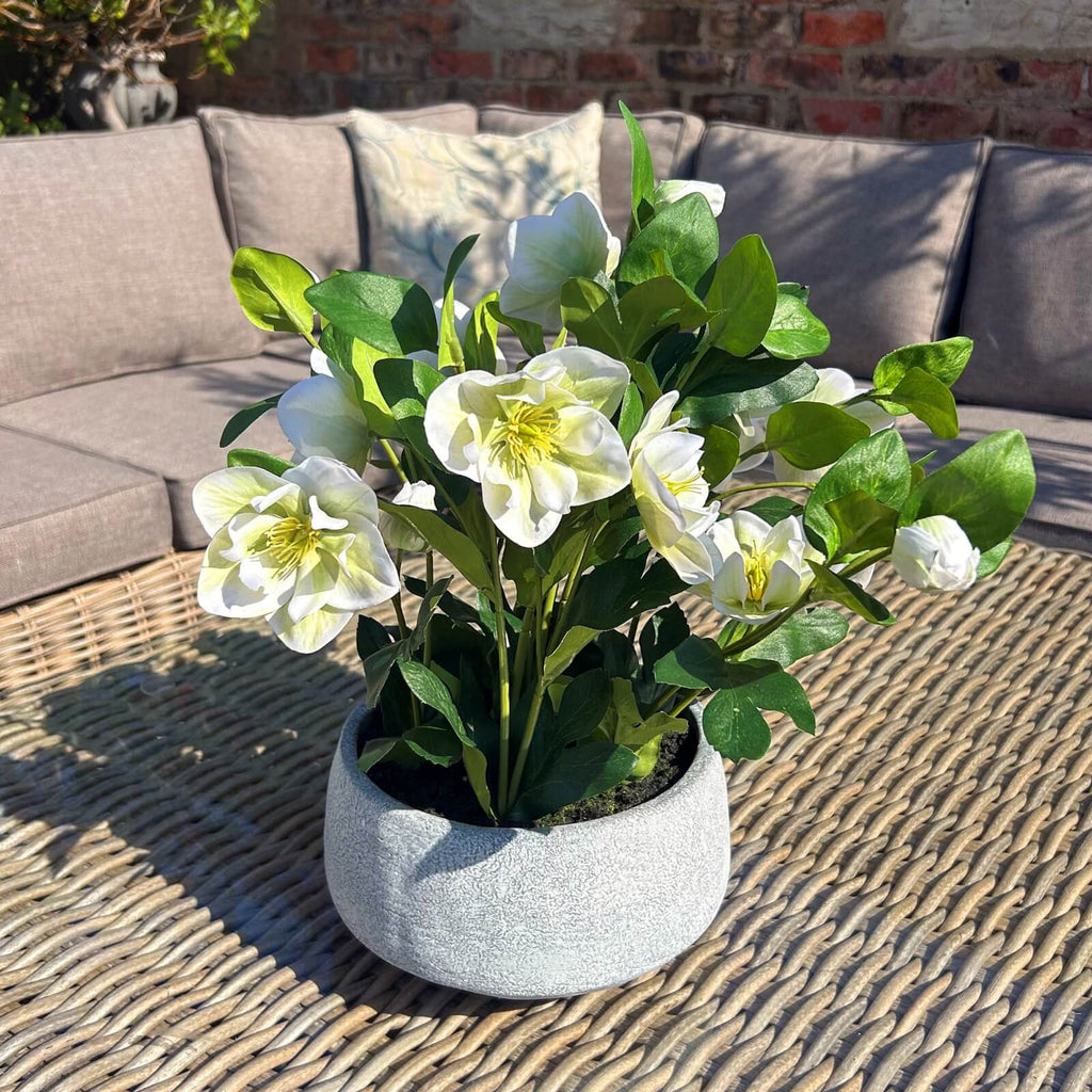 Lifelike white faux hellebore plant in grey ceramic pot, perfect for home decor by Sostter at brixbailey.com