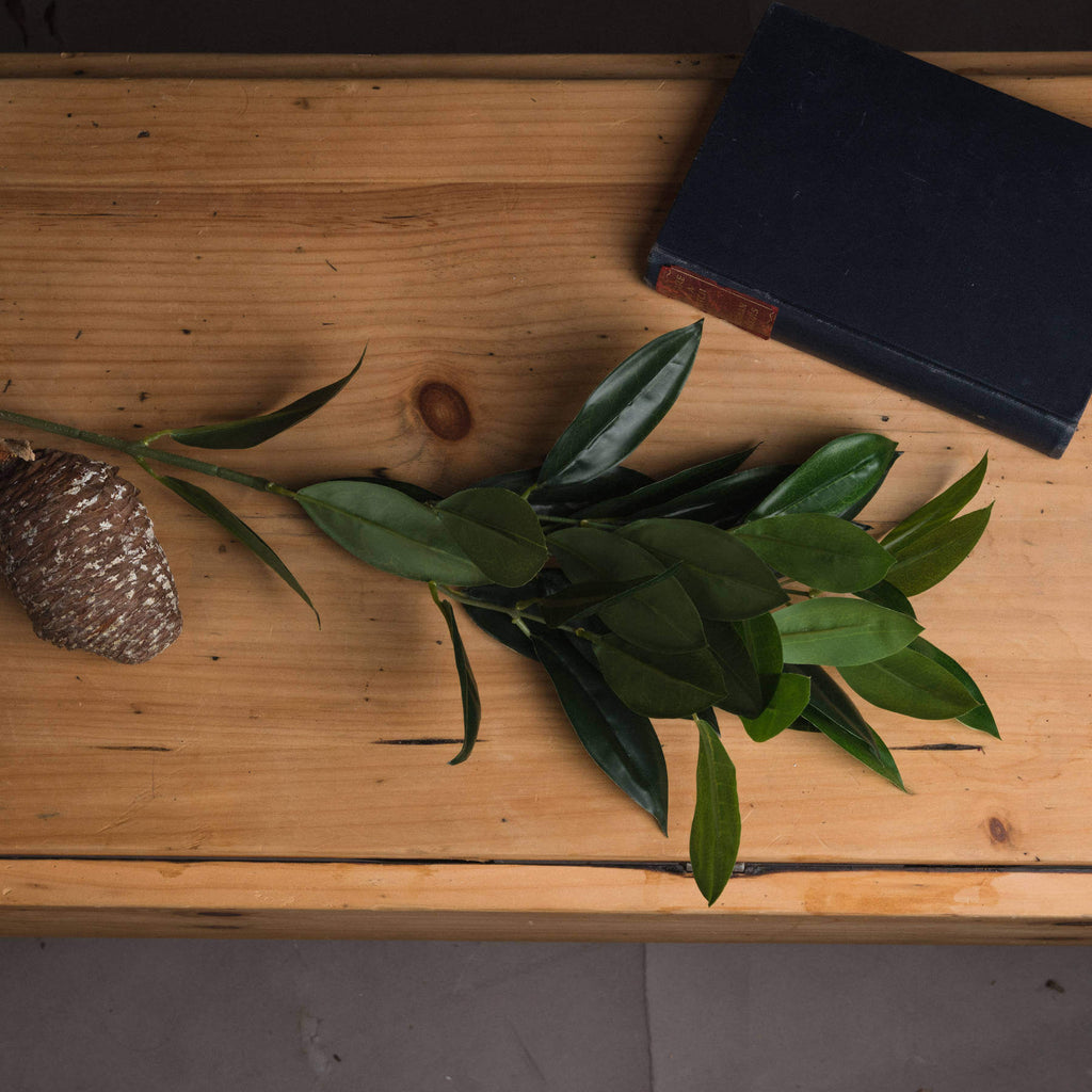 Lifelike faux bay leaf spray with emerald green leaves for Mediterranean decor, 75cm tall, maintenance-free artificial greenery by RoomLondon at brixbailey.com