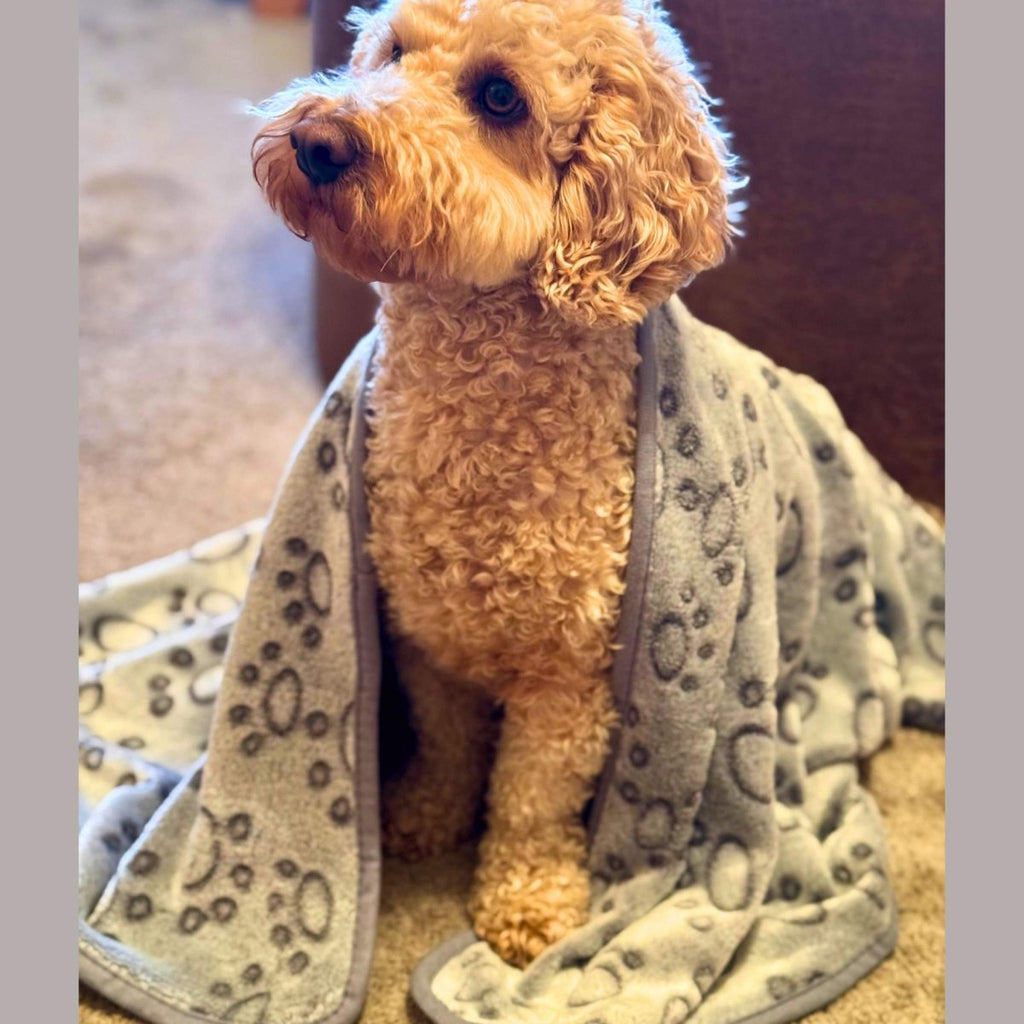 Dog Blanket - Grey Paws