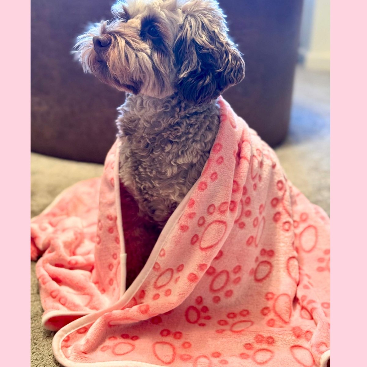 Dog Blanket - Pink Paws