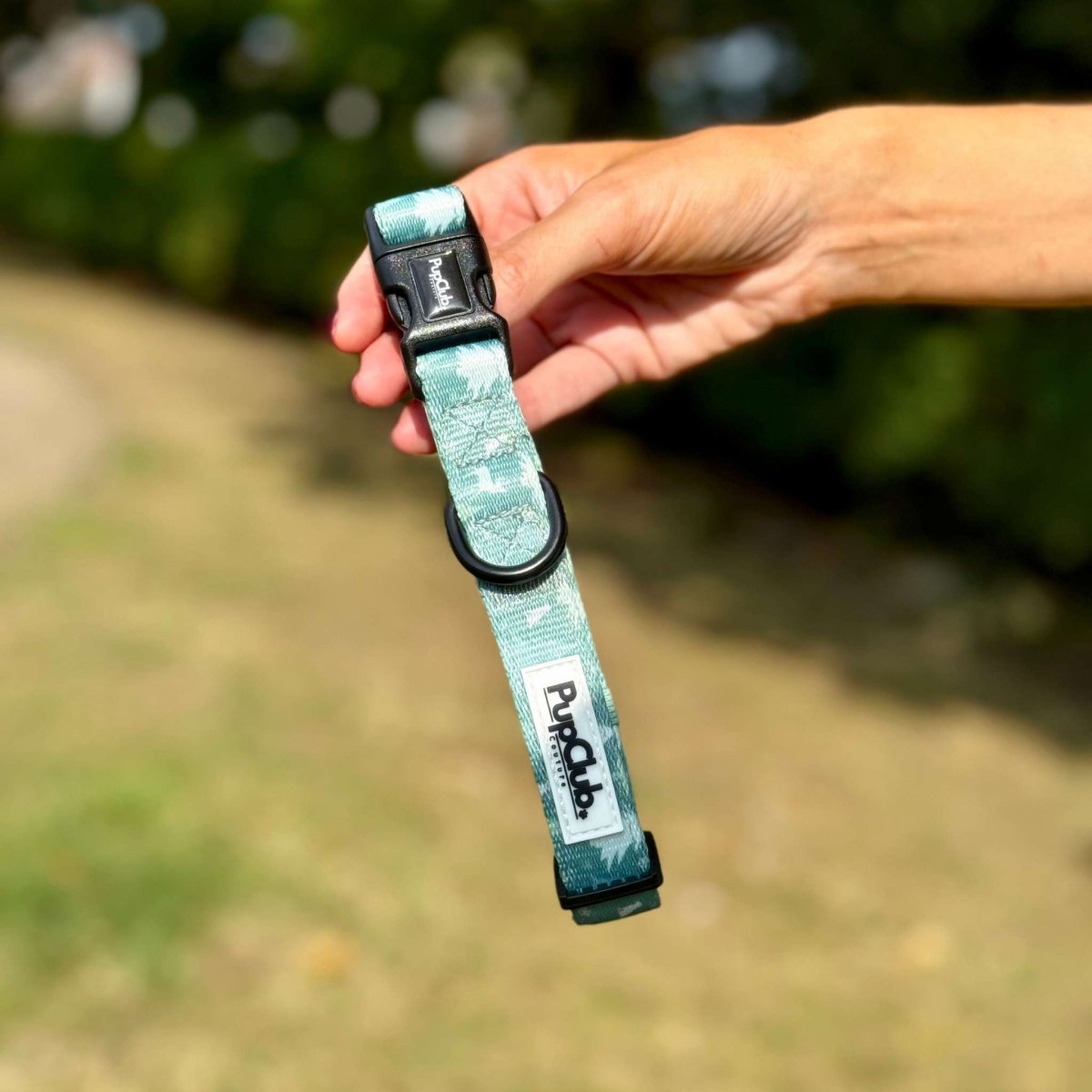 Collar - Evergreen Trails