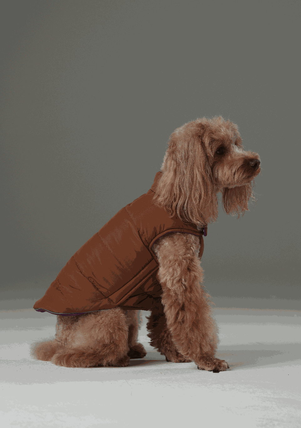 Reversible Dog Vest Jacket in Purple Caramel