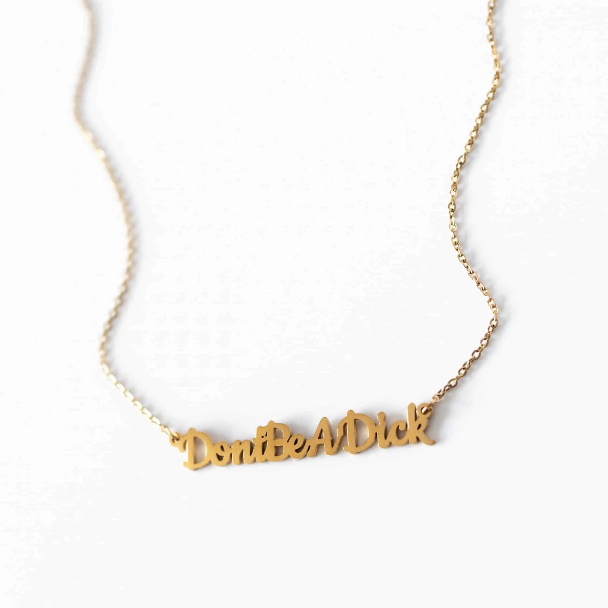 Don't be a dick necklace