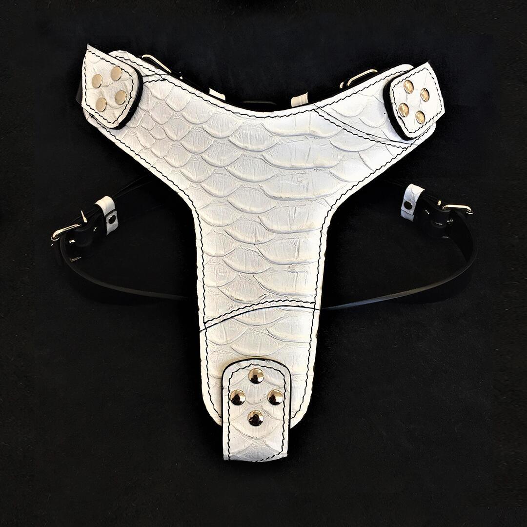 Dragon Scale Leather Dog Harness