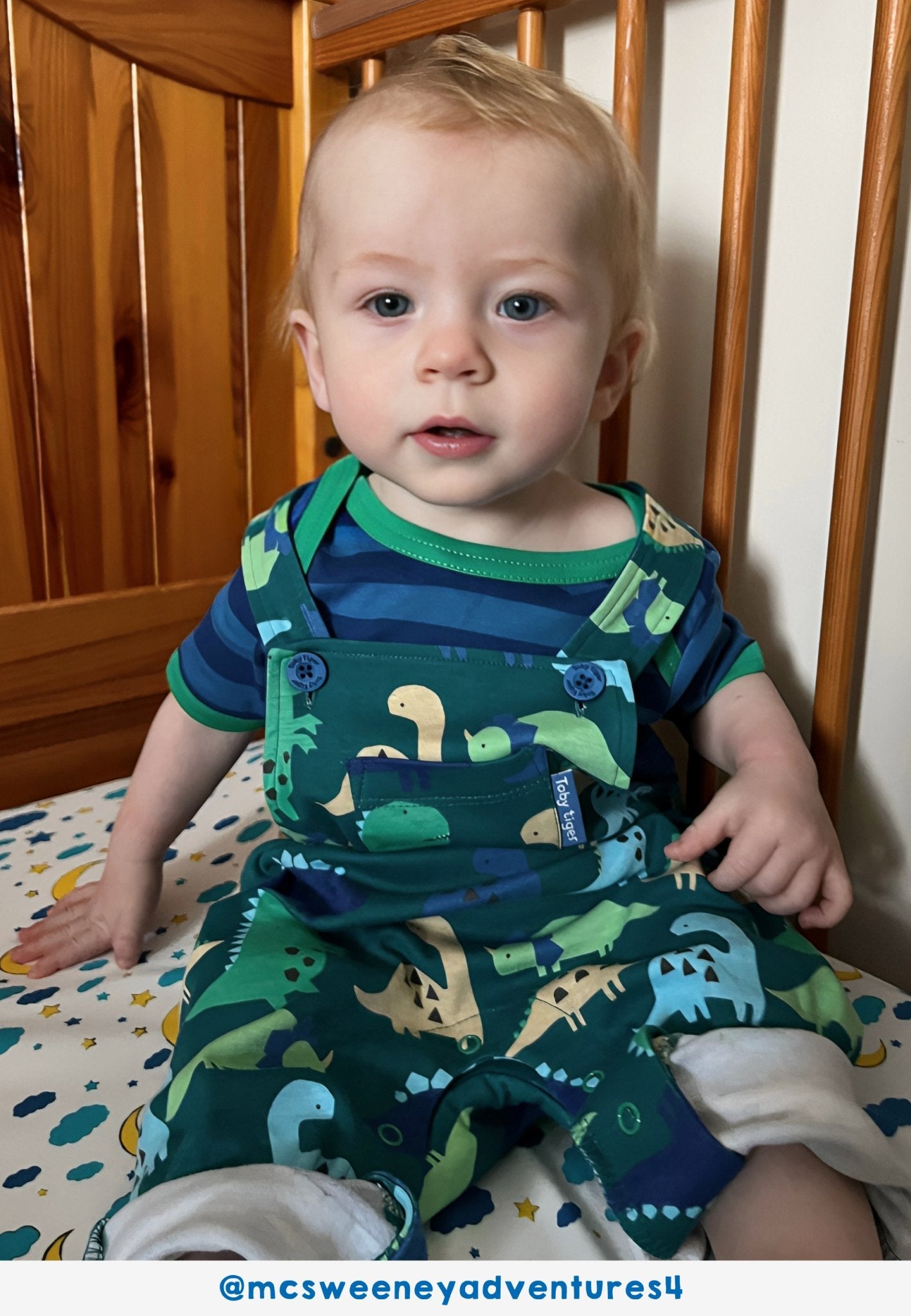 Organic Tonal Dinosaur Print Dungarees