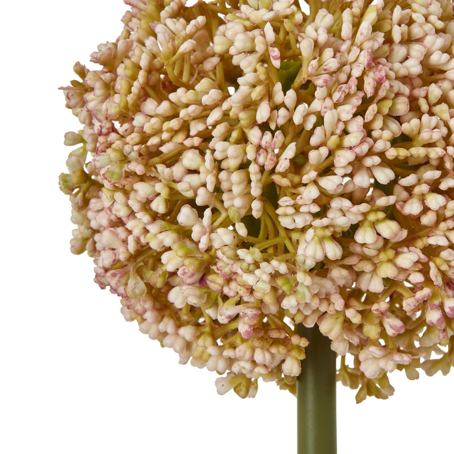 Handcrafted pink allium stem, lifelike floral decor with soft pink hues and feathery texture for home arrangements by Sostter at brixbailey.com