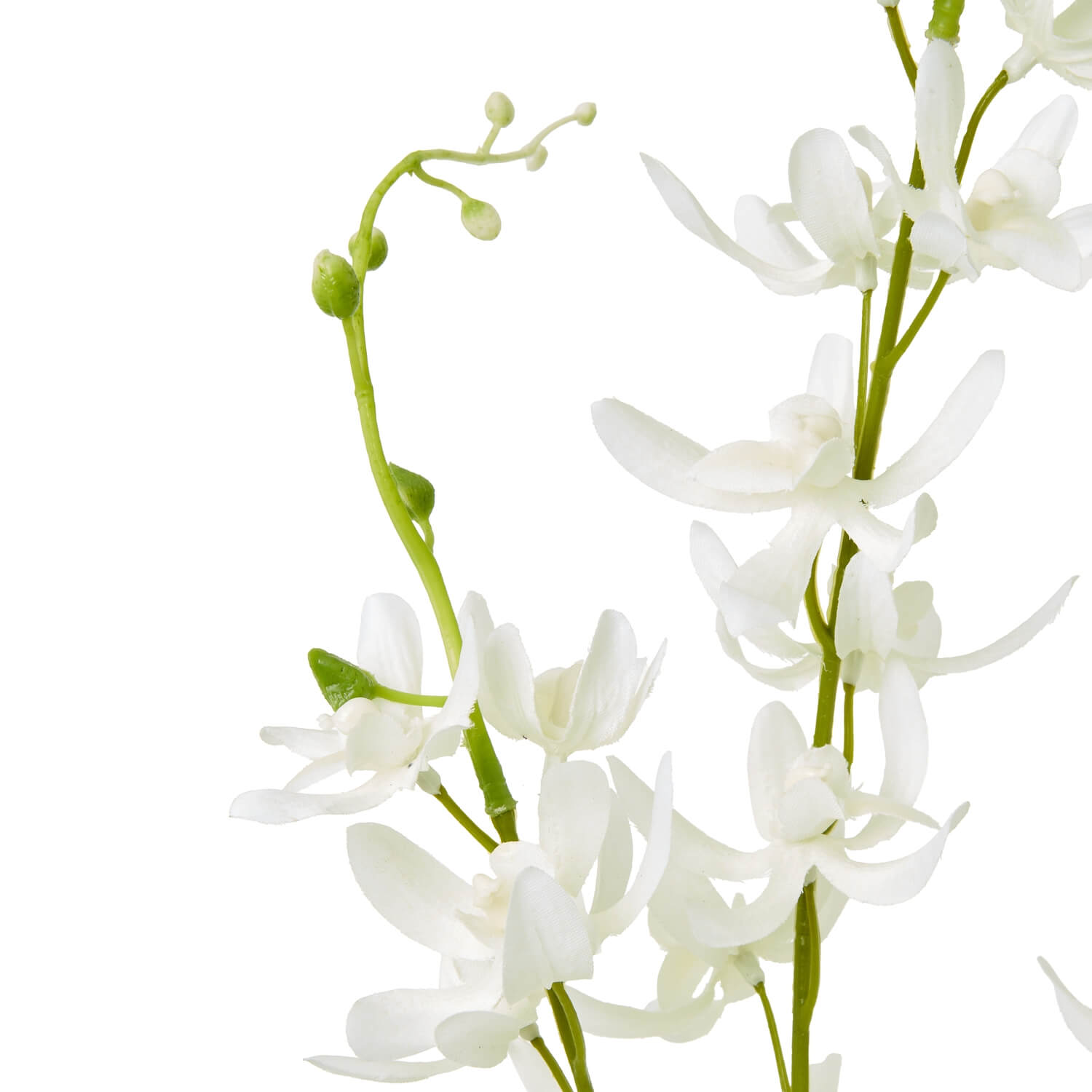 White cymbidium spray faux floral with botanically accurate blooms, perfect for modern home decor by Sostter at brixbailey.com