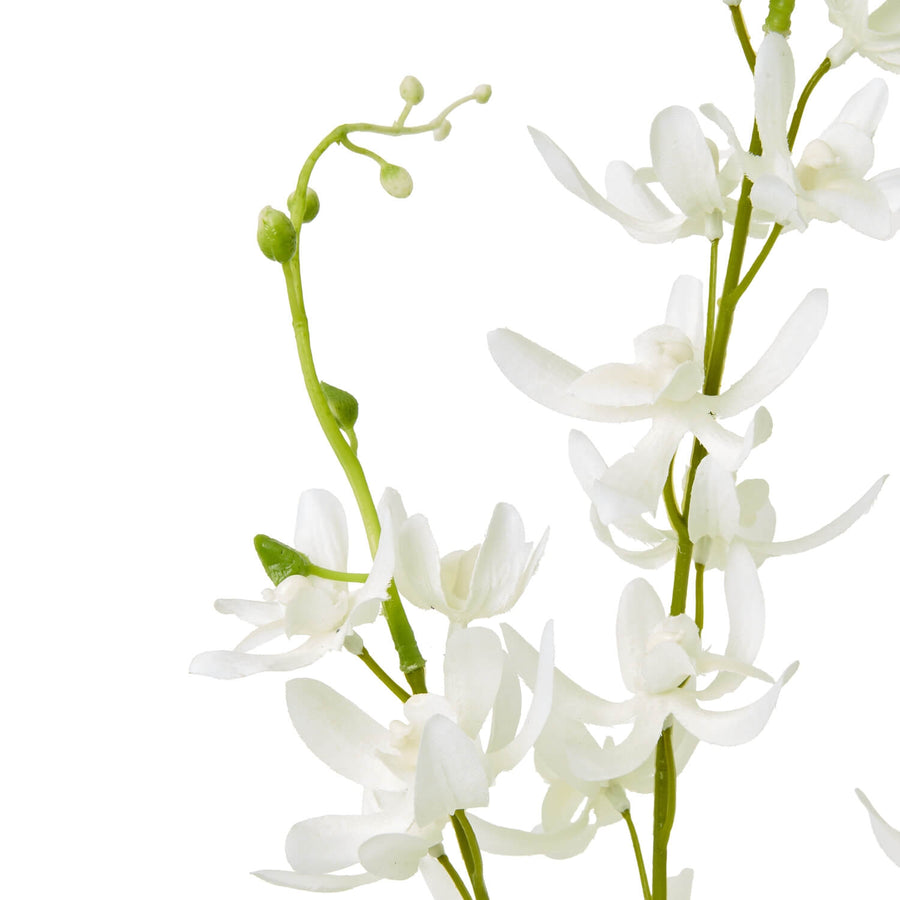 White cymbidium spray faux floral with botanically accurate blooms, perfect for modern home decor by Sostter at brixbailey.com