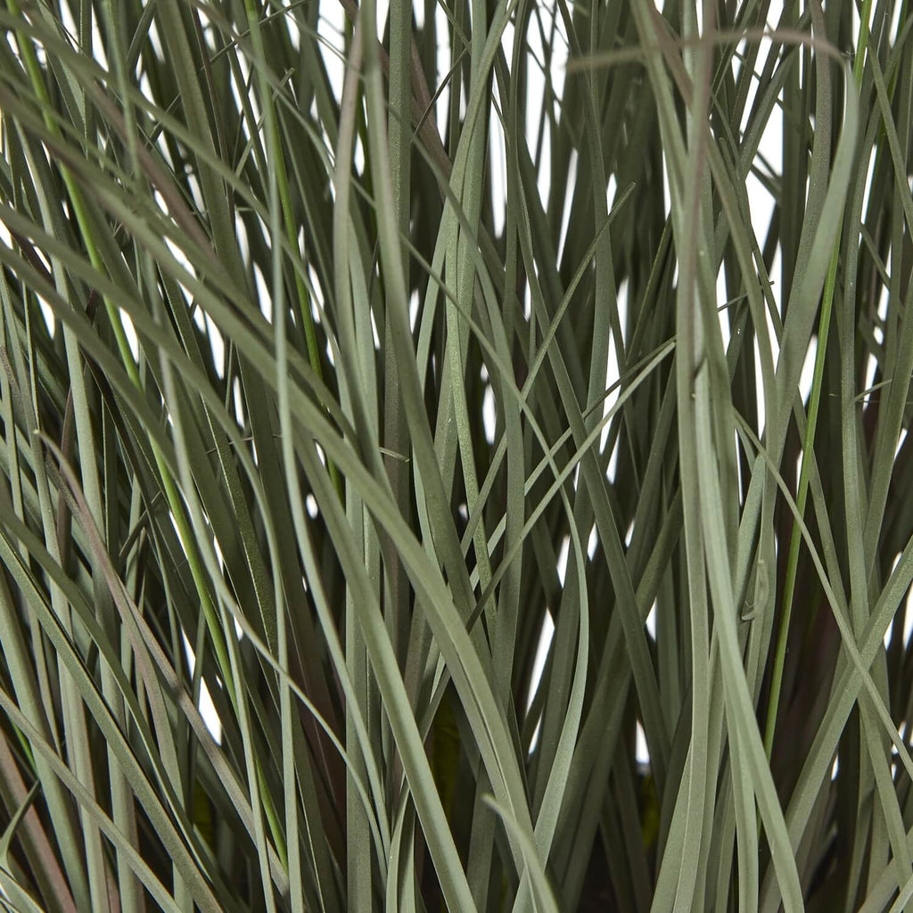 Lifelike faux fountain grass in natural green, 50cm tall with feathery plumes, displayed in sleek black pot. by Sostter at brixbailey.com