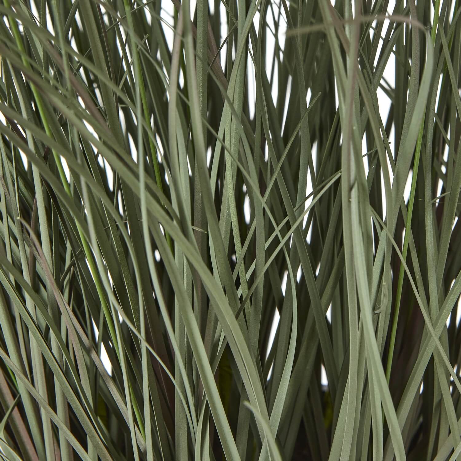Lifelike faux fountain grass in natural green, 50cm tall with feathery plumes, displayed in sleek black pot. by Sostter at brixbailey.com