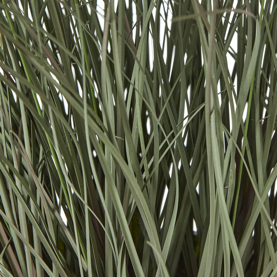 Lifelike faux fountain grass in natural green, 50cm tall with feathery plumes, displayed in sleek black pot. by Sostter at brixbailey.com