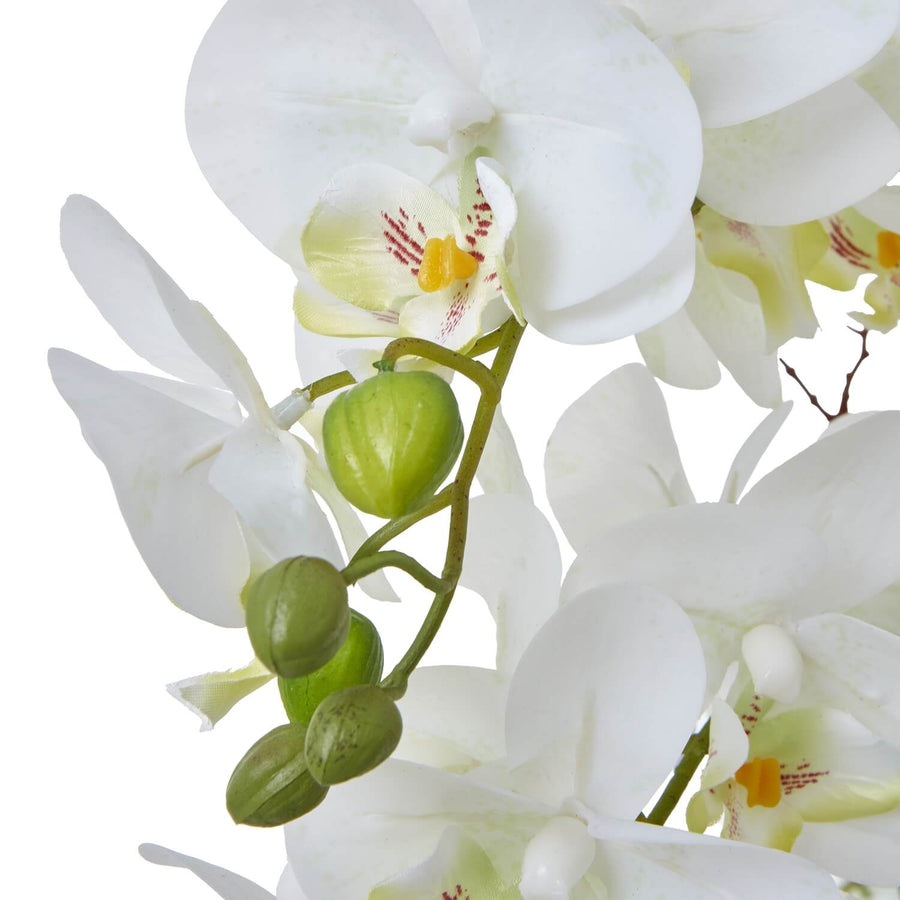 Lifelike white phalaenopsis orchid in ceramic pot, lush green foliage, elegant home decor faux plant by Sostter at brixbailey.com