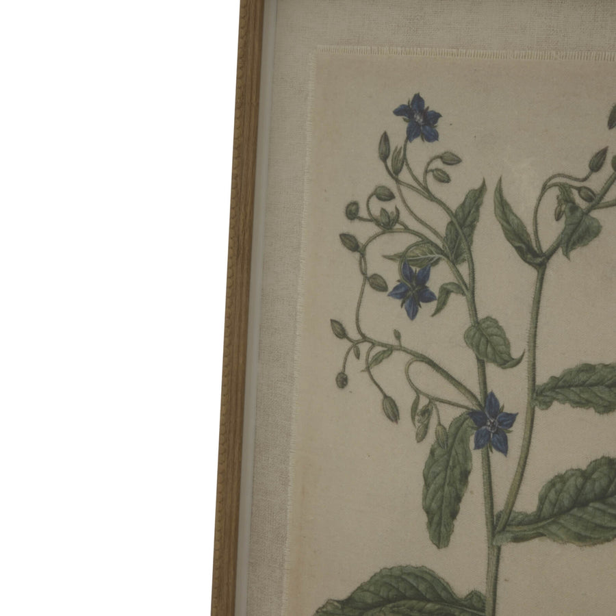 Handcrafted linen botanical artwork of borage flowers in neutral tones with beaded brown frame, 50x40cm by Sostter at brixbailey.com