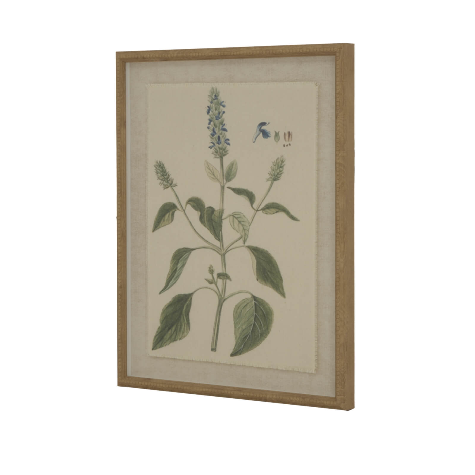 Salvia botanical wall art with handcrafted beaded frame and natural linen background, 50x40cm by RoomLondon at brixbailey.com