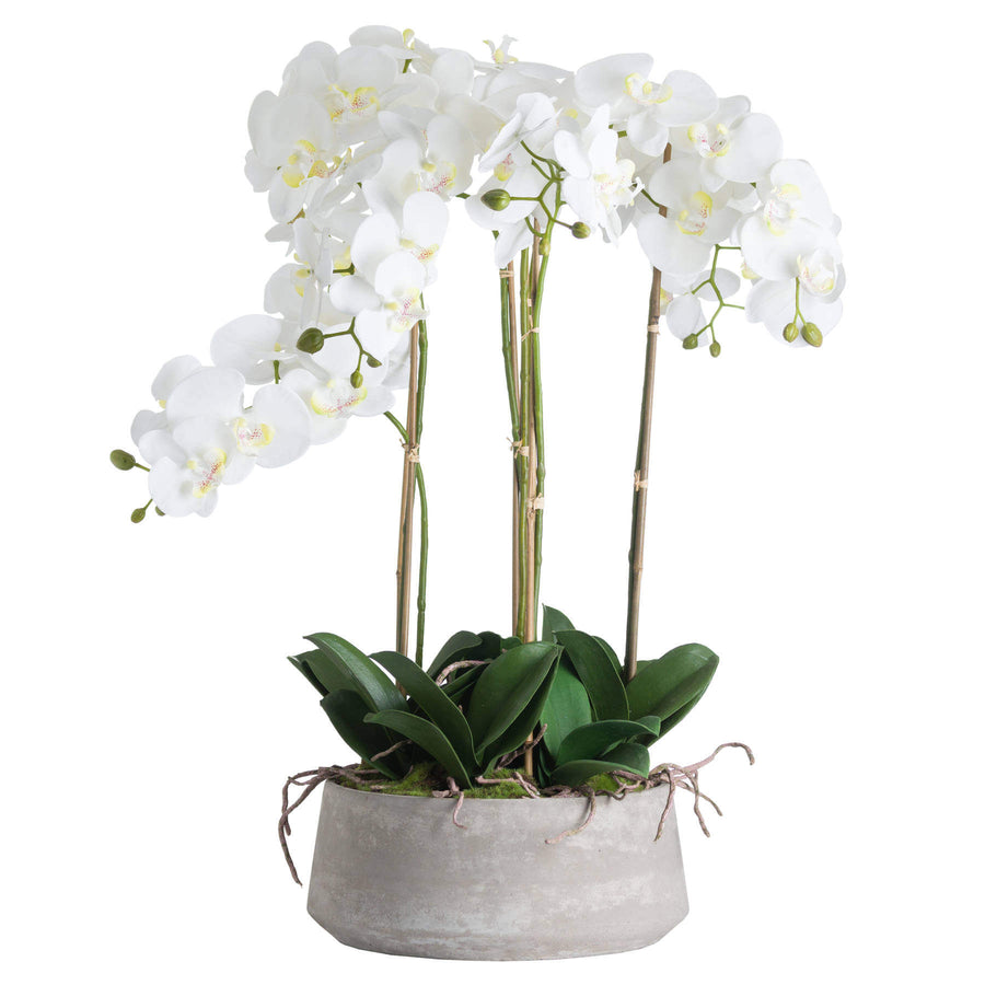 Lifelike white faux orchid in modern stone pot, perfect for home decor centerpiece or accent. by Sostter at brixbailey.com